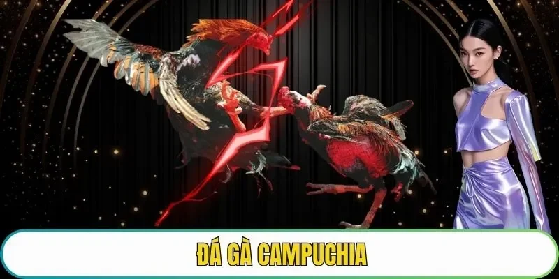 đá gà campuchia